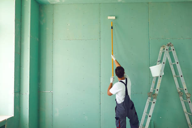 Best Asbestos and Lead Testing During Mold Inspection  in Mertzon, TX