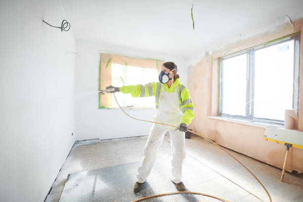 Best Attic Mold Removal  in Mertzon, TX