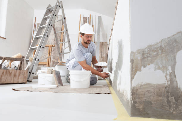Mold Remediation for Rental Properties in Mertzon, TX