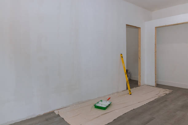 Best Post-Construction Mold Inspection  in Mertzon, TX