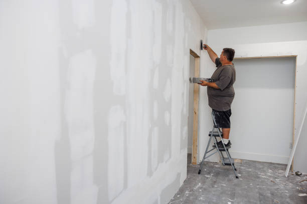 Best Residential Mold Inspection & Testing  in Mertzon, TX