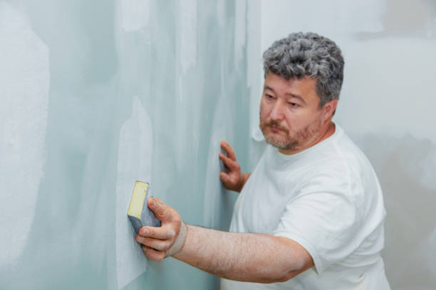 Best Residential Mold Inspection & Testing  in Mertzon, TX