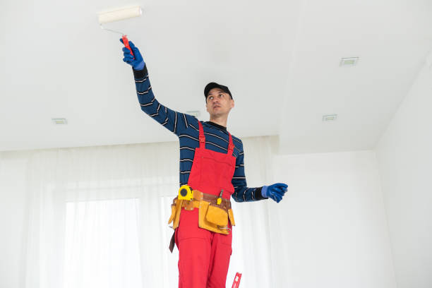 Best Emergency Mold Remediation  in Mertzon, TX