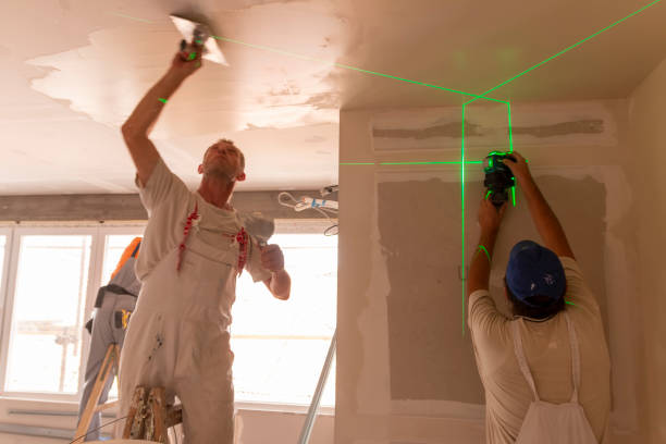 Best Industrial Mold Remediation  in Mertzon, TX