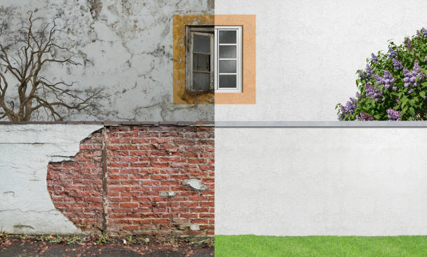 Best Mold Prevention Services  in Mertzon, TX