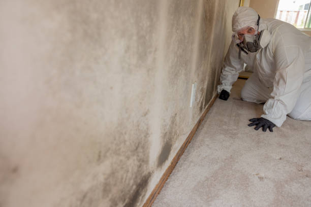 Best Air Quality Testing for Mold Spores  in Mertzon, TX