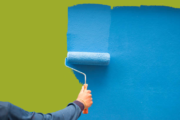 Best Mold Documentation for Insurance Claims  in Mertzon, TX